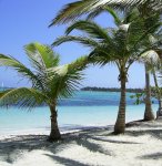 Profile picture for user sonrisa